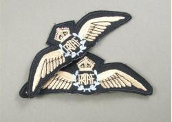 WWII pilots wings