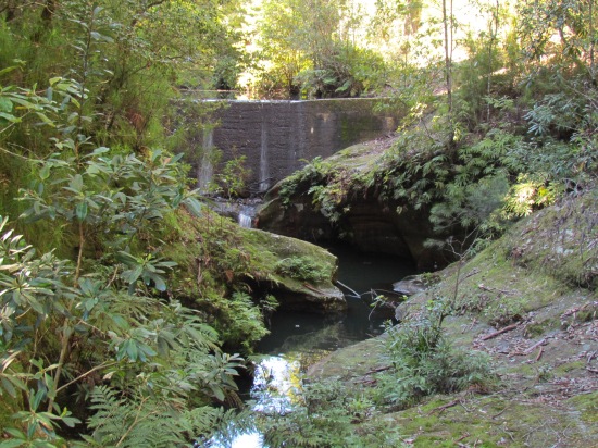 The creek below the dam.